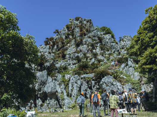 アスムイハイクス