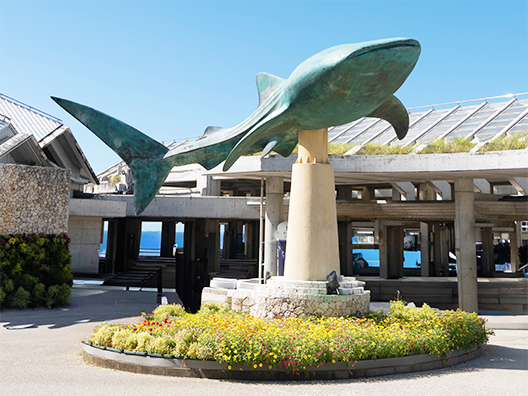 Okinawa Churaumi Aquarium