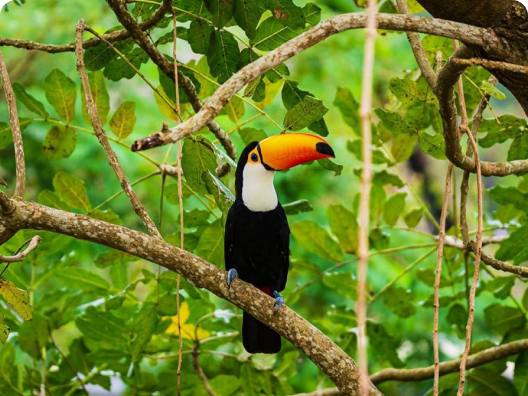 ネオパークオキナワ