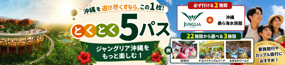 とくとく5パス